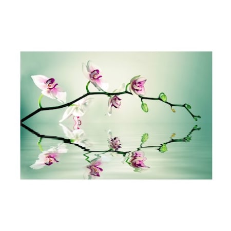 Lee Sie 'Pink FloralZen' Canvas Art,22x32